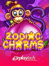 Zodiac Charms